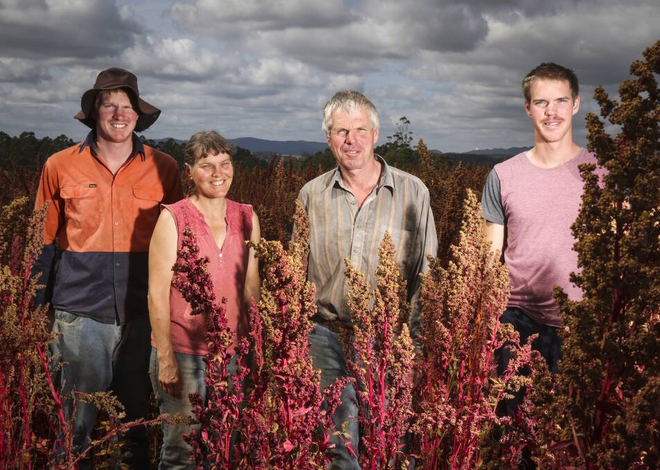 BACK TO NATURE: Peter, Henriette, Lauran and John Damen, of Kindred Organics. Picture: Cordell Richardson