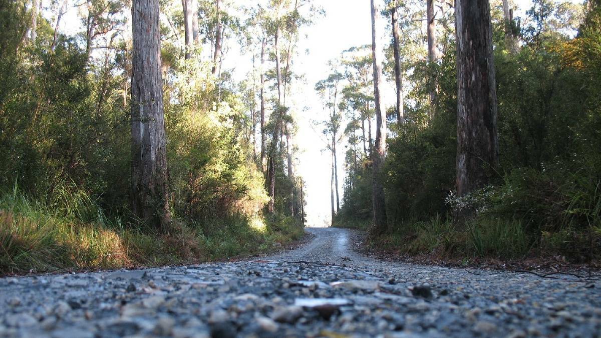 Tarkine 4WD tracks proposal open for submissions