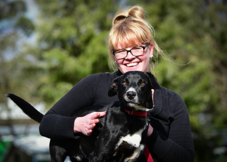 SMILE: RSPCA Tasmania's Melanie Knight with "Elliott", a 10-month-old Border Collie cross. Pictures: Paul Scambler
