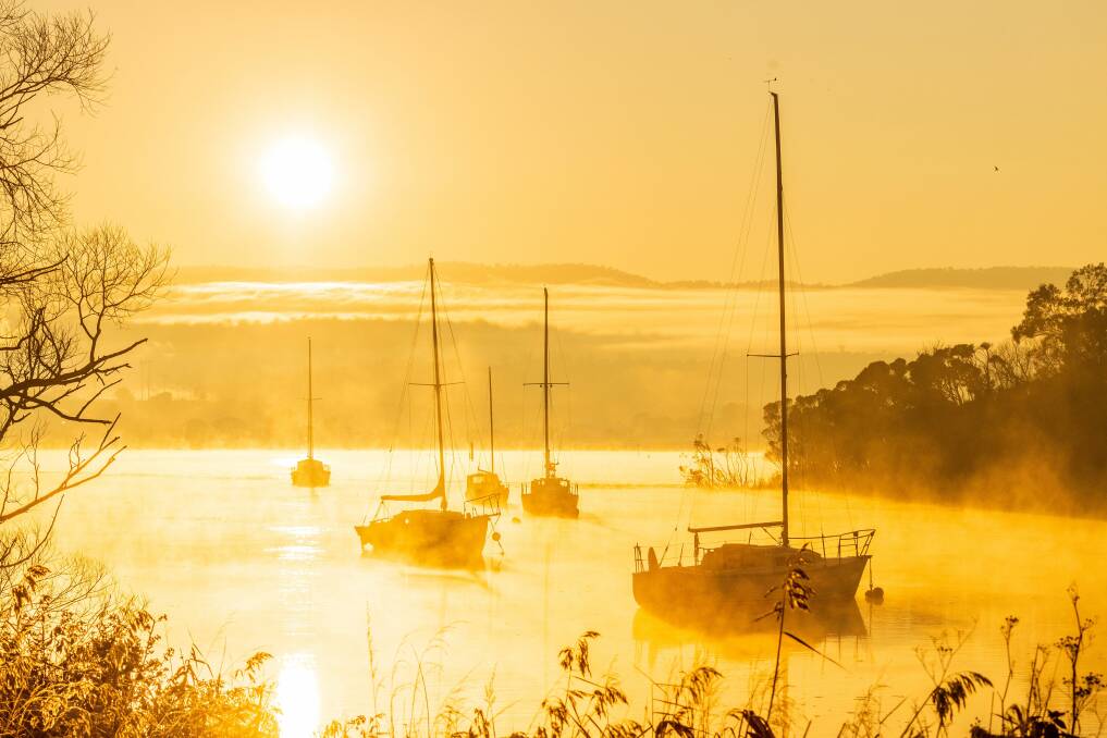 Yachts moored in the Tamar River at Tailrace. Picture: Phillip Biggs