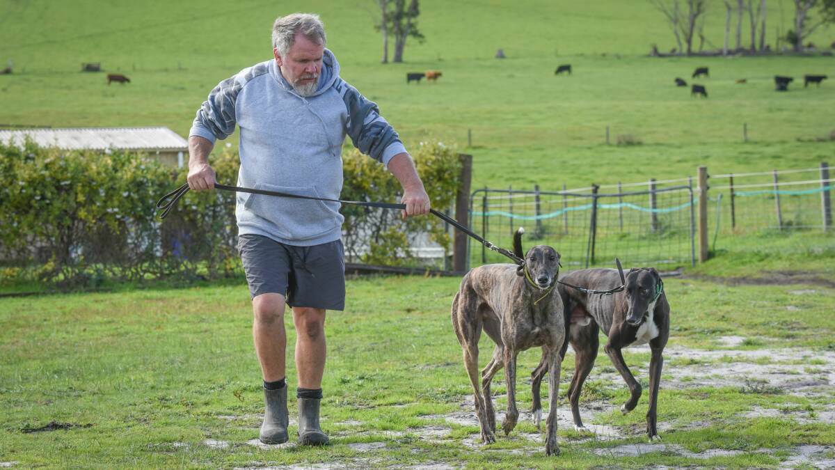 Anthony Bullock was alleged to have taken a greyhound with a broken leg to a vet in Launceston, only to refuse to pay after hours fees. The greyhound was euthanased the next day.