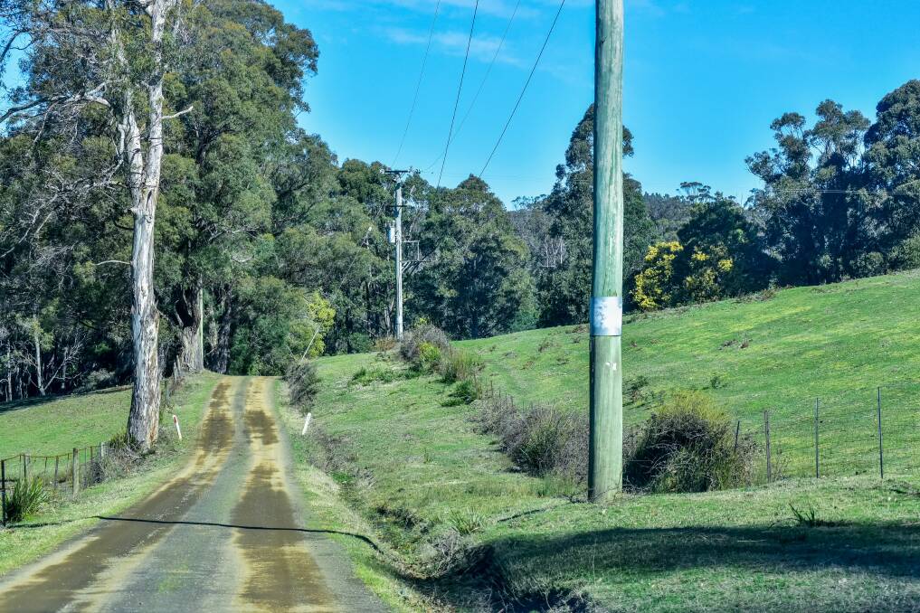 Powerlines on roadsides in Winkleigh, near the Brocklands property. Picture: Neil Richardson