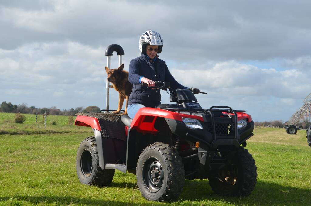 Minister for building and construction Sarah Courtney tries out a quad bike on a farm at Bracknell, complete with a roll bar. Picture: Adam Holmes