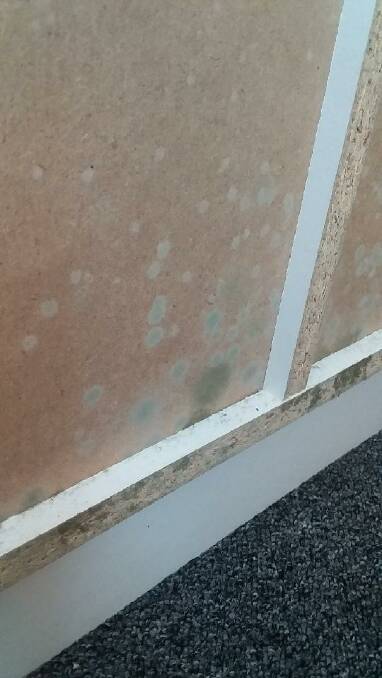 Mould on the back of furniture within the property. Picture: supplied by resident