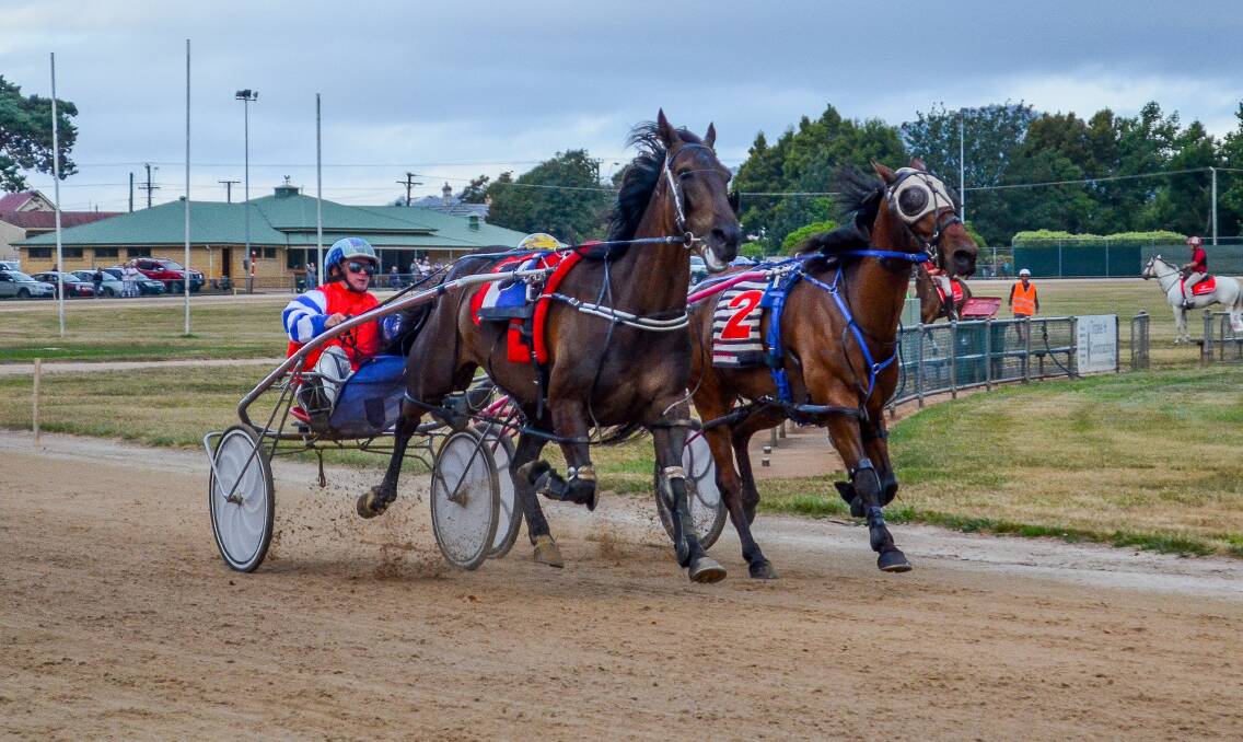 Black Centurian and Buster William sprint for the line in the Bridport Hotel North Eastern Cup at Scottsdale. Picture: Adam Holmes