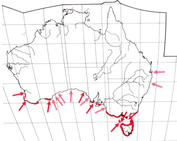 The distribution of little penguins in Australia.