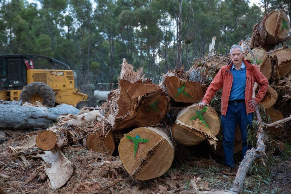 Bob Brown during one of the protests against Sustainable Timber Tasmania's activities in the Eastern Tiers last month. Picture: Supplied