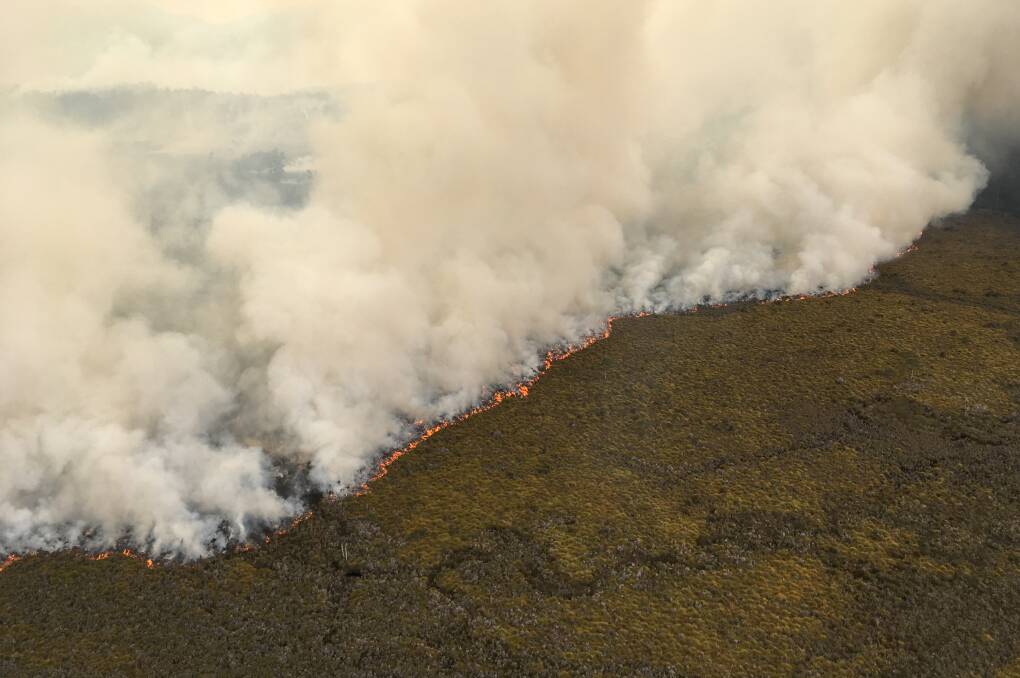 The extent of the damage to important vegetation is yet to be determined, while the response to the fire will also face a review. Image: NSW RFS