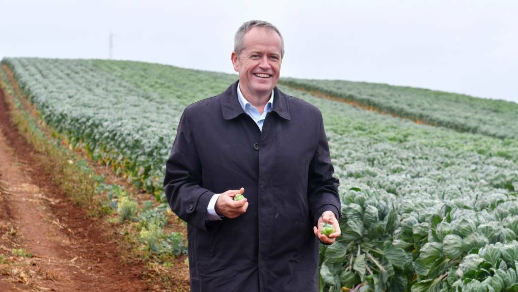 Opposition leader Bill Shorten also visited Tasmania last month. Picture: Brodie Weeding
