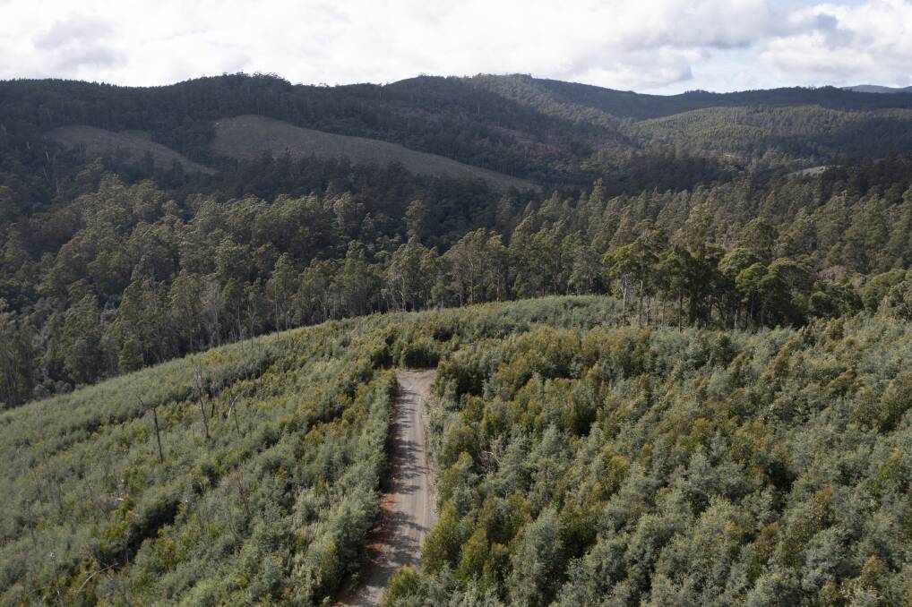 The Mutual Valley provides a thorough working example of how Tasmania's forestry practices have changed in recent decades - but have they improved? Picture: Craig George