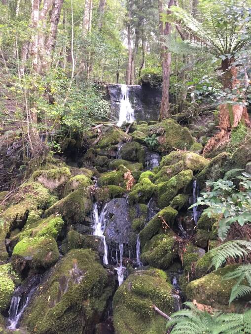 Split Rock Track emerges at a picturesque waterfall after a vigorous walk over various graded areas.