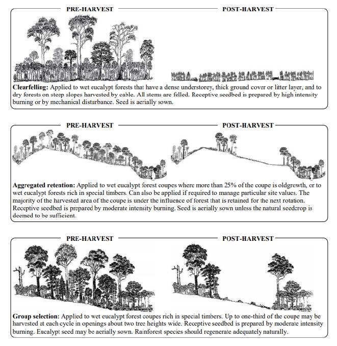 Various types of native forest harvesting methods used by STT. Image: Forestry Tasmania, Technical Bullet No. 5