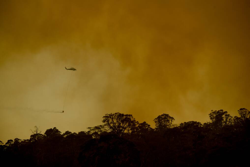The 2013, 2016 and 2019 bushfires all had different impacts, but Professor Bowman fears that there could be worse to come.