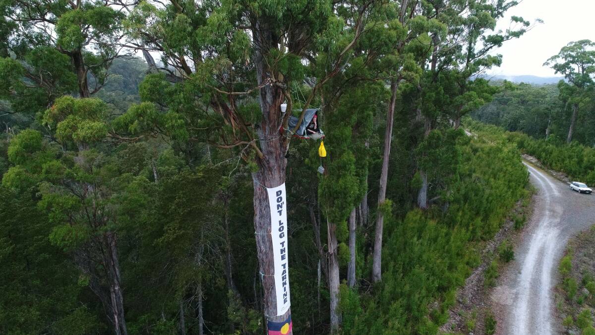 A tree-sit in the Tarkine in 2017. It is unclear if such activity would be in breach of the government's new anti-protest laws. Picture: Joe Armao