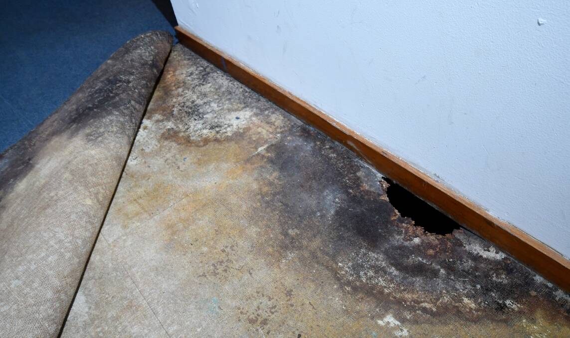 A Devonport family had been trying to get maintenance for their Housing Tasmania home for six years - only for workers to discover black mould had spread throughout.