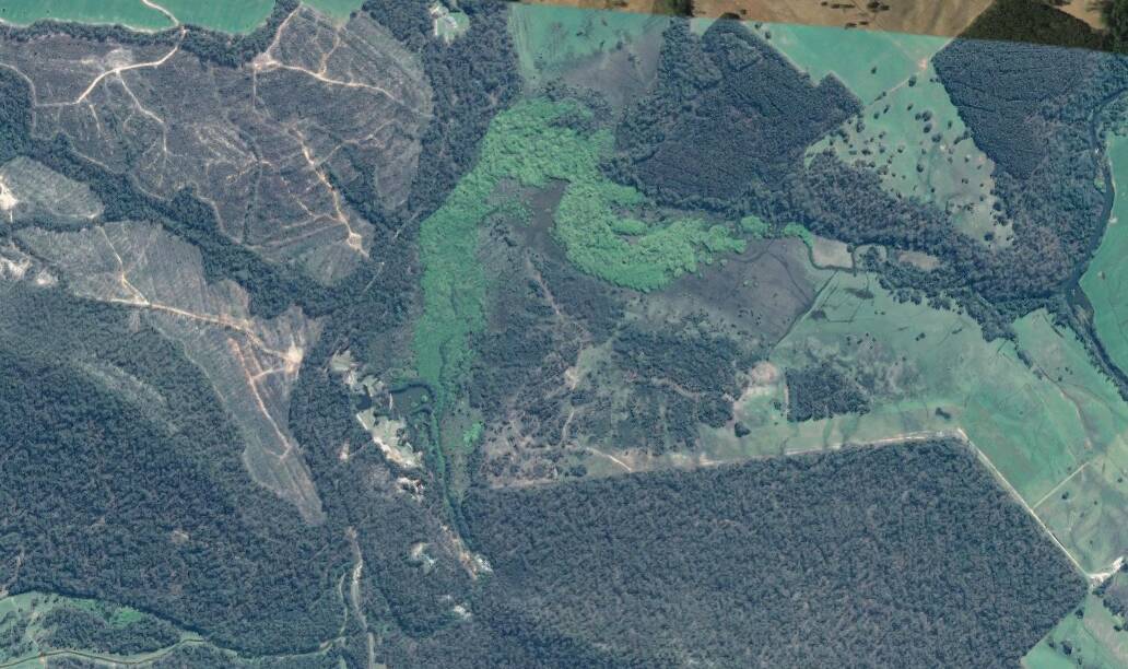 A willow infestation on Western Creek - just upstream of the Meander River at Deloraine - is clearly visible in brighter green on Google satellite, potentially creating siltation issues and increasing flood risk.