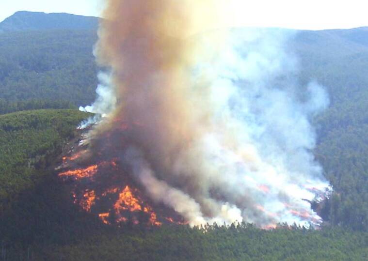 A high intensity burn. Image: Forestry Tasmania, Technical Bullet No. 5