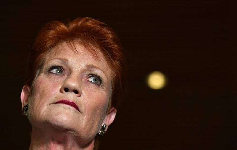 One Nation senator Pauline Hanson claimed women lie regularly in Family Court matters in order to deny fathers access to children.