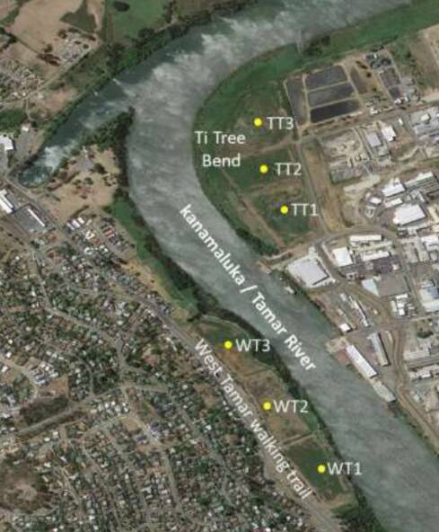 The six silt ponds - three at the West Tamar, and three at Ti Tree Bend. Image: Marine Solutions Tasmania