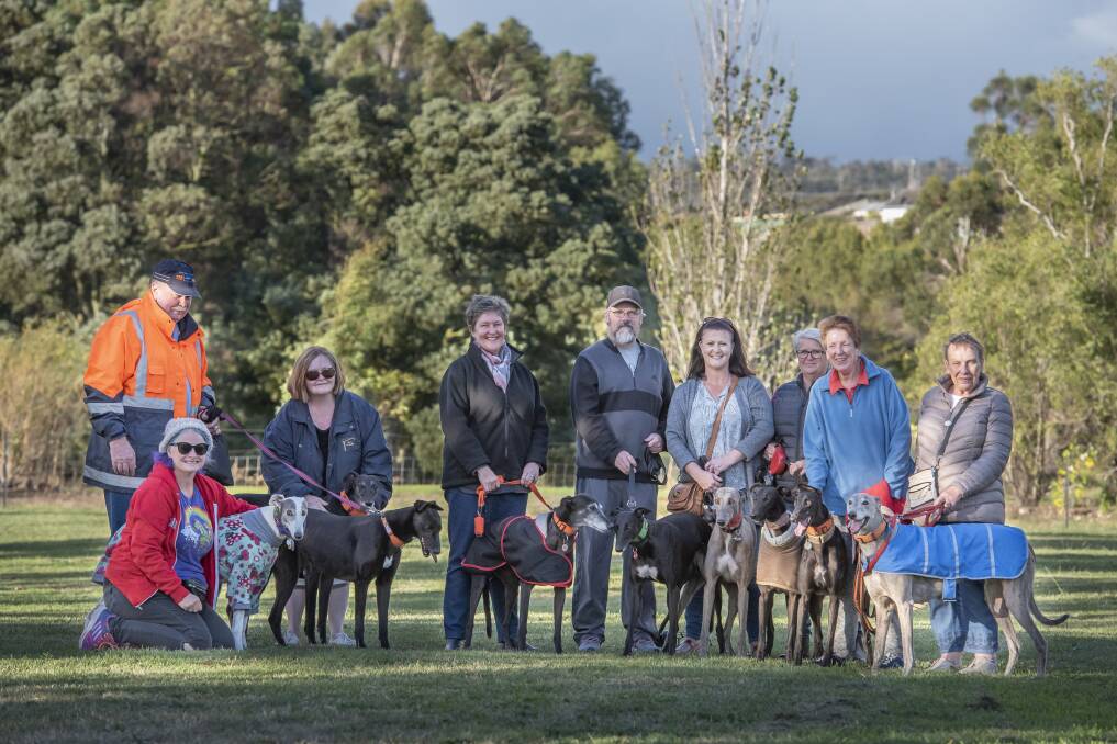 Rescue greyhound owners Trudy Hill, Roger and Jo Bryen, Robyn Bolam, Nick Filce, Eleanor Binns, Ingrid McDonald, Maxine Butwell and Angela Walters at Heritage Park's off-leash greyhound park. Picture: Craig George