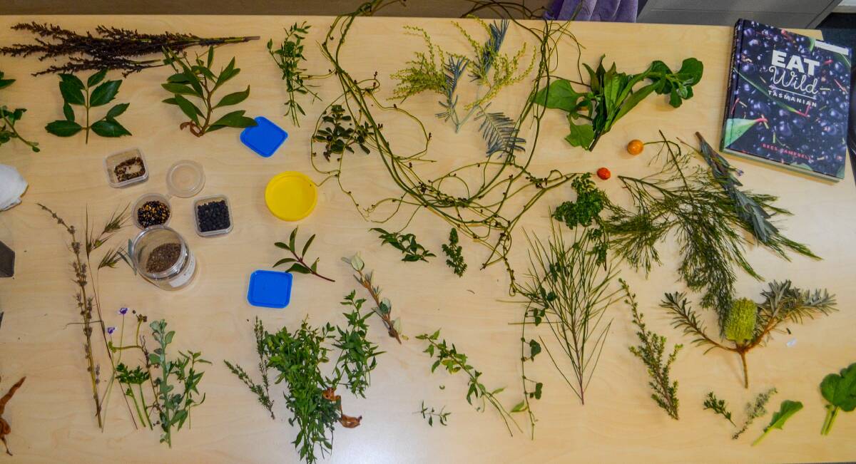 A selection of clippings from native Tasmanian plants that can be used in various forms of cooking, on display in Beaconsfield last weekend. Picture: Adam Holmes
