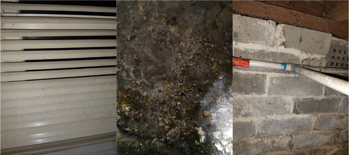 More mould issues in the rental in Smithton. Picture: Supplied