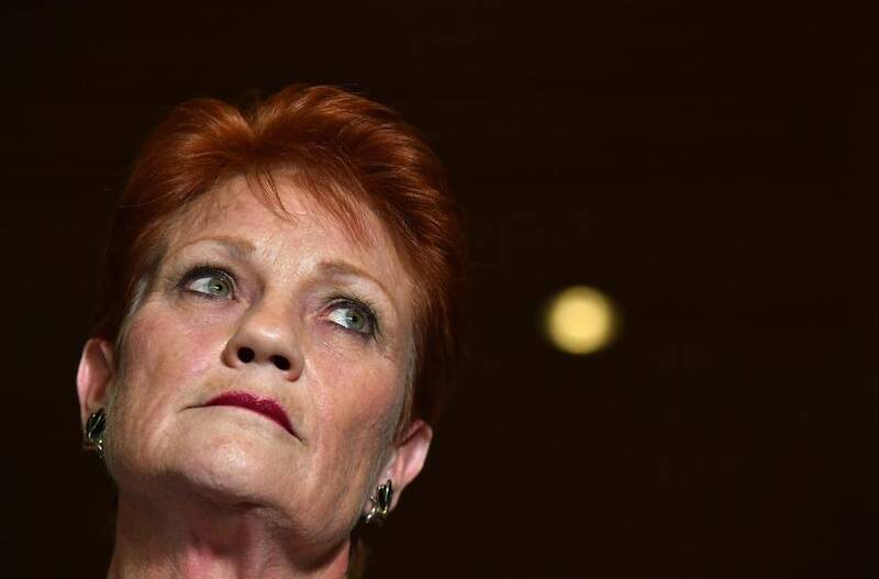 Senator Pauline Hanson has been appointed deputy chair of a family law inquiry, and repeatedly claims that women lie about family violence.