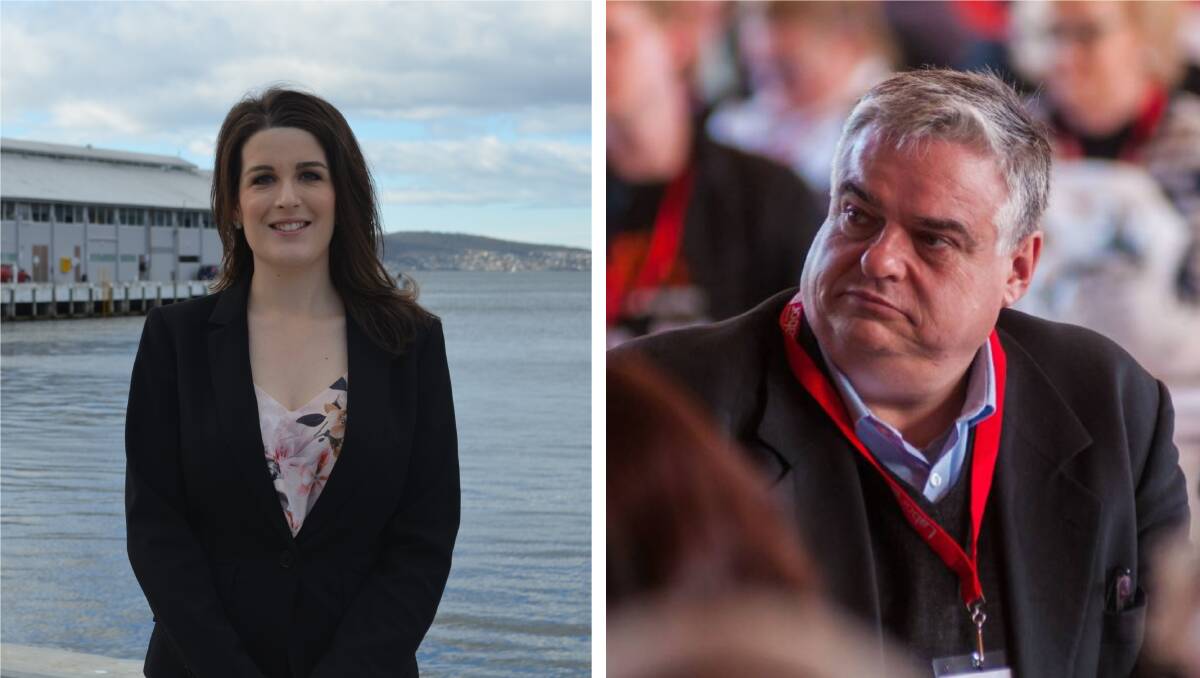 Tasmanian Liberal senator Claire Chandler and Labor Lyons MHR Brian Mitchell are on a unity ticket - against Nazi symbols being displayed in Tasmania.