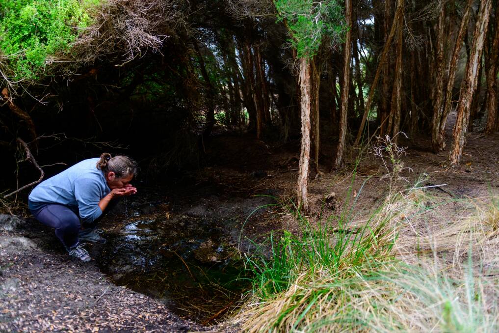 Ranger co-ordinator Fiona Maher drinks from a freshwater spring - one of a number that have been discovered since the ranger program started in 2015.