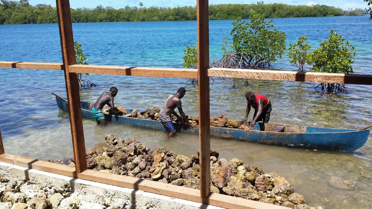 Workers in the Solomon Islands prepare to harvest sea cucumbers. Picture: Supplied