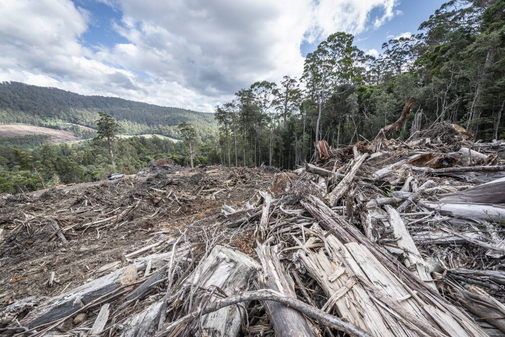 Forestry activity may have been undertaken without the correct delegation for several decades in Tasmania, but the government is planning to bring in retrospective laws by way of a fix. Picture: Craig George