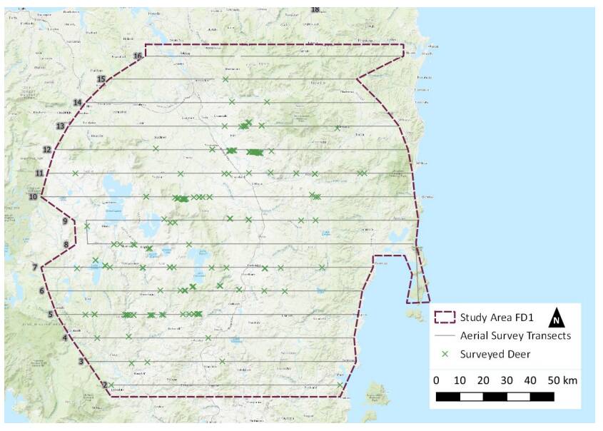 Lines represent the east-west flight path for the aerial survey, green crosses indicate a deer sighting. This is the only region covered during the survey. Image: DPIPWE