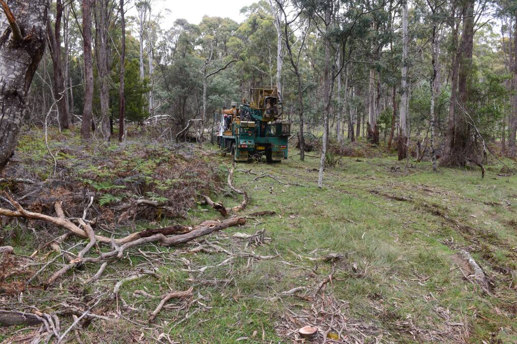 The government had to get environmental approval to remove some limbs to allow heavy machinery to enter the land last October, but they soon retreated due to wet soil. Picture: Paul Scambler