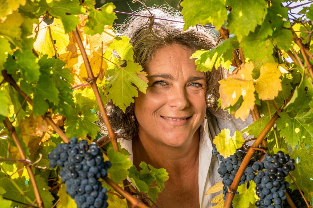 Cynthea Semmens, of Marion's Vineyard at Deviot, says the current season has been ideal for grape growers. Picture: Phillip Biggs
