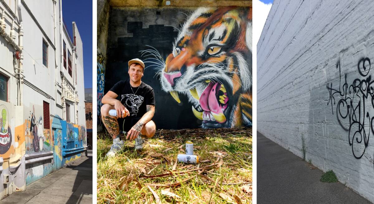 James Cowan (aka Kreamart) with his tiger mural in Royal Park, centre, with the alley behind Birchalls (left) and another alleyway in the Launceston CBD (right) among those under-utilised for street art.