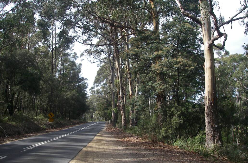 The works involve the widening of the highway and the addition of two overtaking lanes, resulting in the removal of vegetation. Picture: supplied