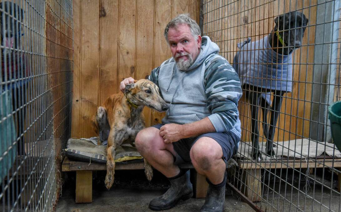 Exeter greyhound trainer Anthony Bullock - Tasmania's most prolific trainer - looks likely to be cleared of the main allegations regarding an incident at a Mowbray vet clinic.