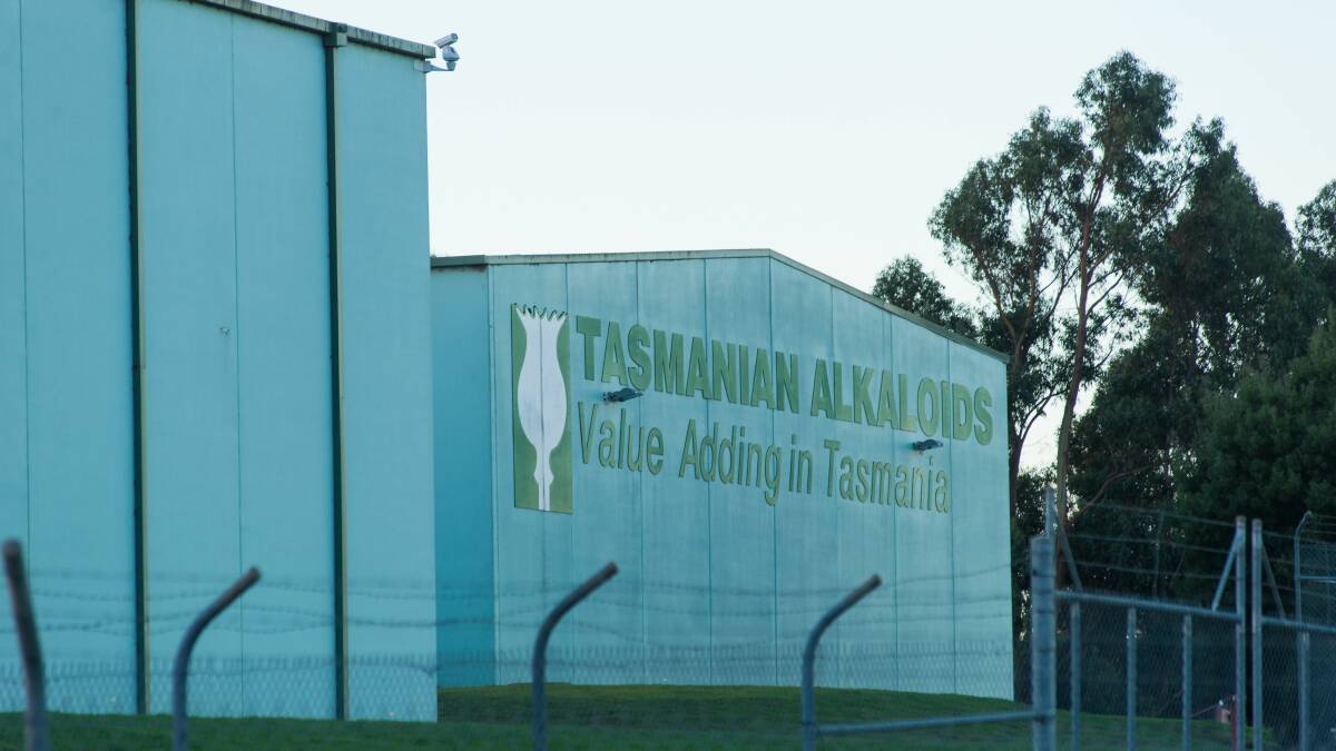 Tasmanian Alkaloids has been increasingly moving into CBD.