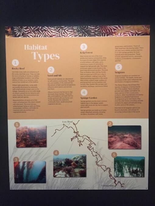 The QVMAG exhibit includes details of the complex ecosystems living beneath the surface of the kanamaluka/Tamar.