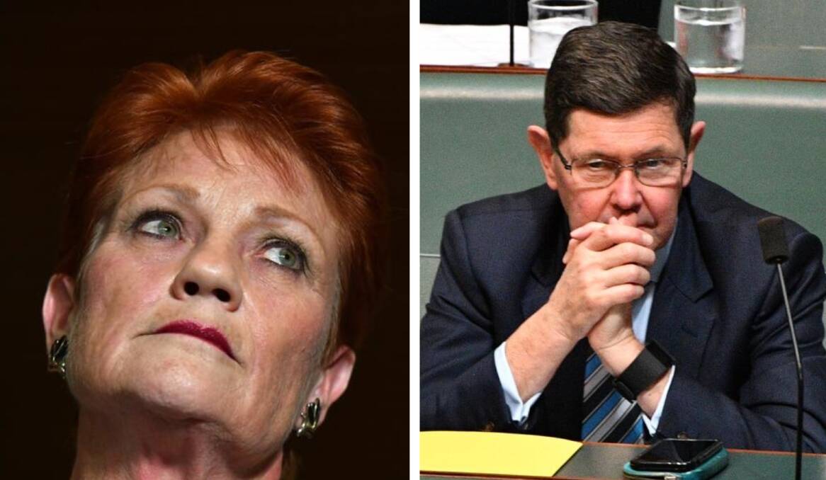 The committee is jointly chaired by senator Pauline Hanson and Liberal MHR Kevin Andrews.