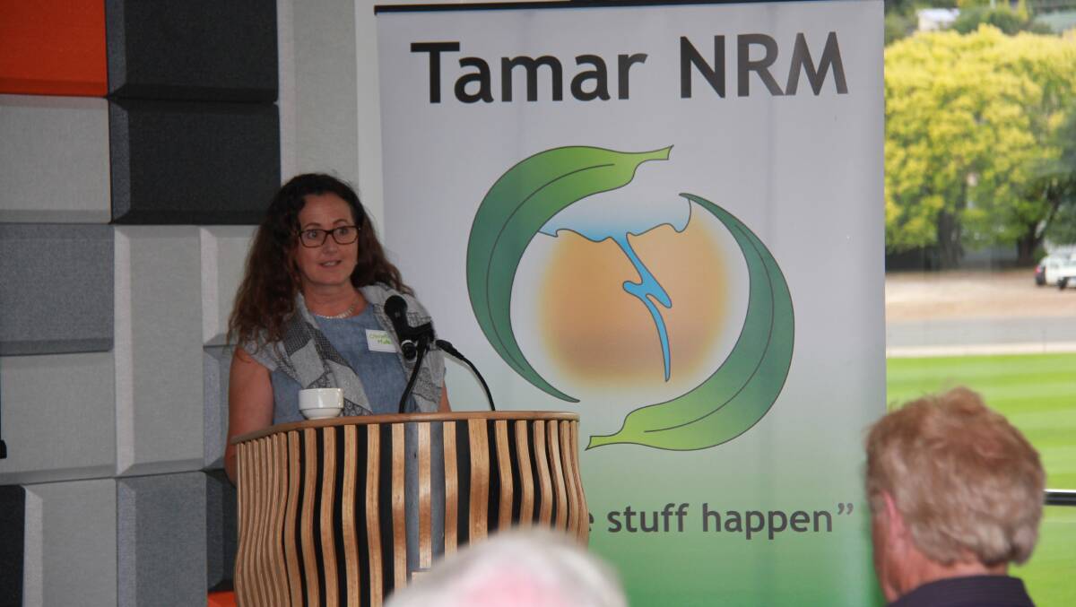 Christine Materia-Rowlands helped to develop the original Tamar NRM strategy in 1998. Picture: supplied