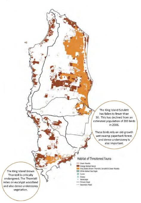 An indicative map only. The orange areas largely on the eastern coast are described as containing habitat for threatened and endangered birds. Image: King Island Council