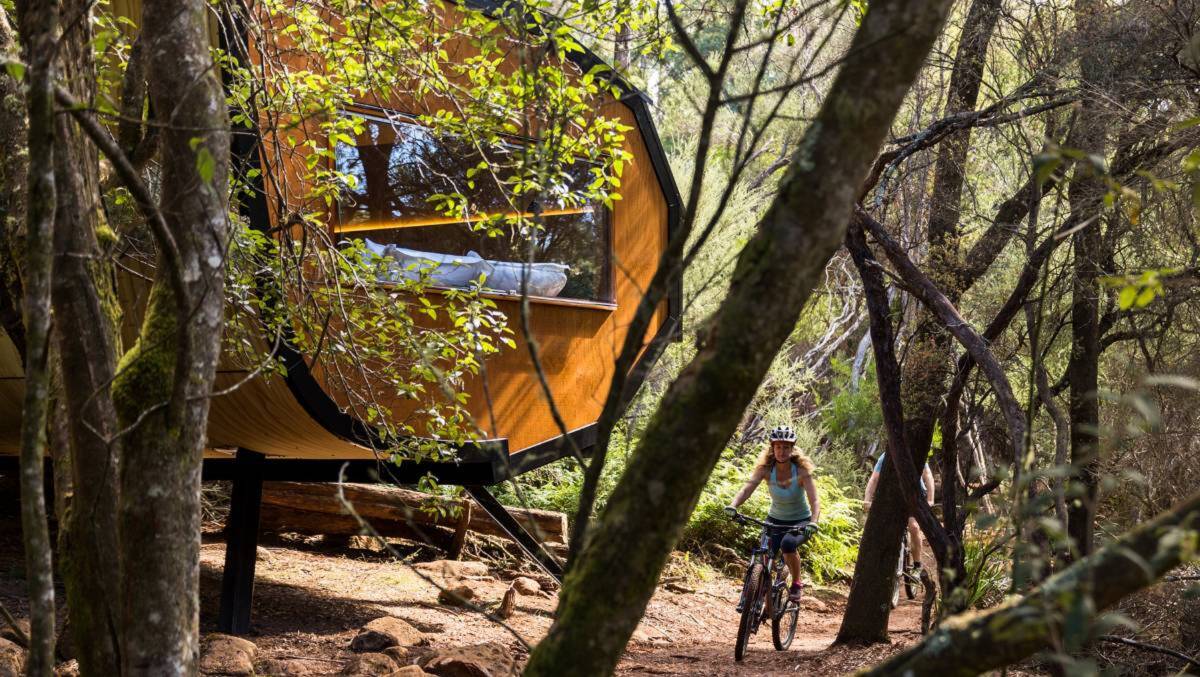 NATURAL BEAUTY: The Blue Derby Pods accommodation was designed to immerse guests in their surroundings. Pictures: supplied