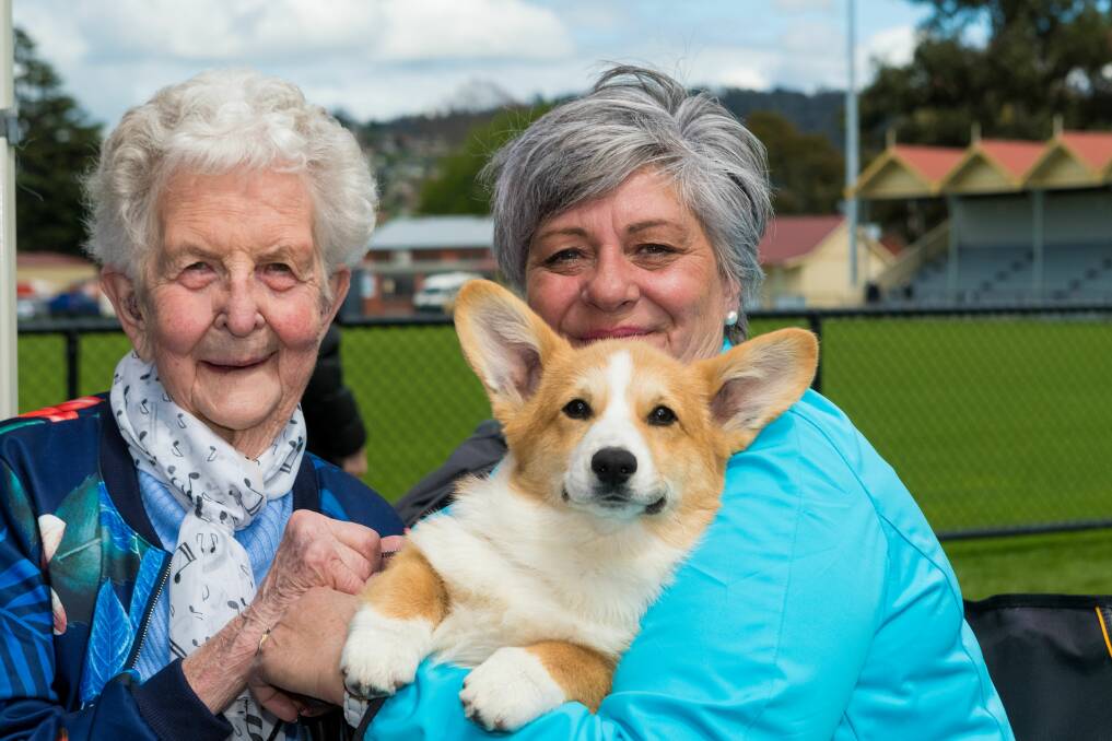 Joan Watson, of Molesworth, and daughter Annette Anagnostis, of Sandy Bay, with Basil the Welsh corgi Pembroke, another of their prized champion dogs. Picture: Phillip Biggs