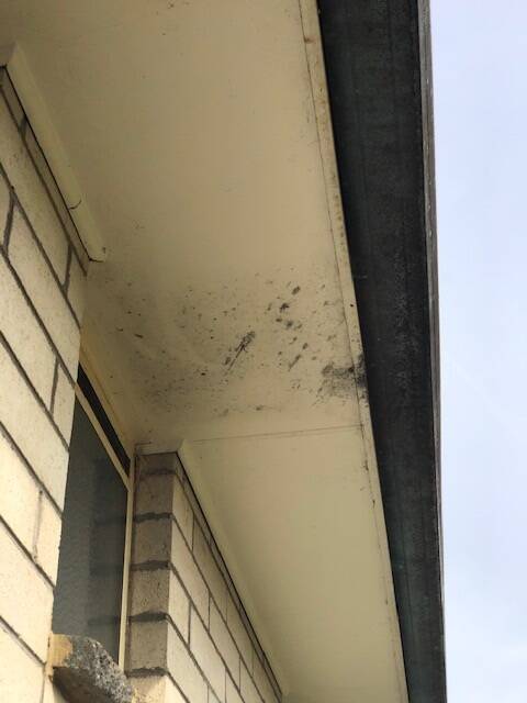 Despite reassurances that the property had been pressure cleaned, suspected mould damage remained in various areas. Picture: Supplied