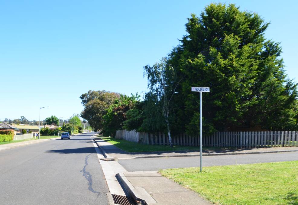 Goldie Court is a narrow access road that runs off Faraday Street in Ravenswood. Picture: Adam Holmes