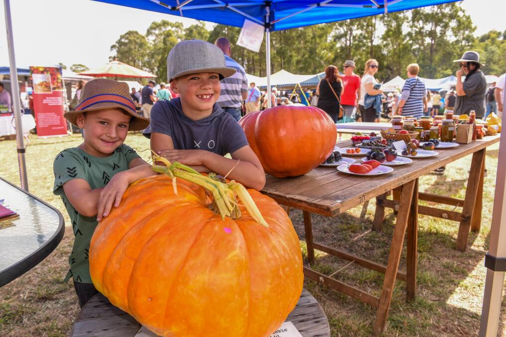 Frankie Howell, 5, and his brother Louis Howell, 7, of Rosevears, with their giant pumpkin. Pictures: Paul Scambler