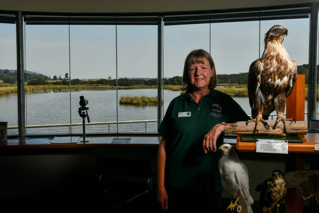 Informed: Tamar Island Wetland volunteer Marianne Burton with some the birds known to frequent Tasmanian waterways. Picture: Scott Gelston