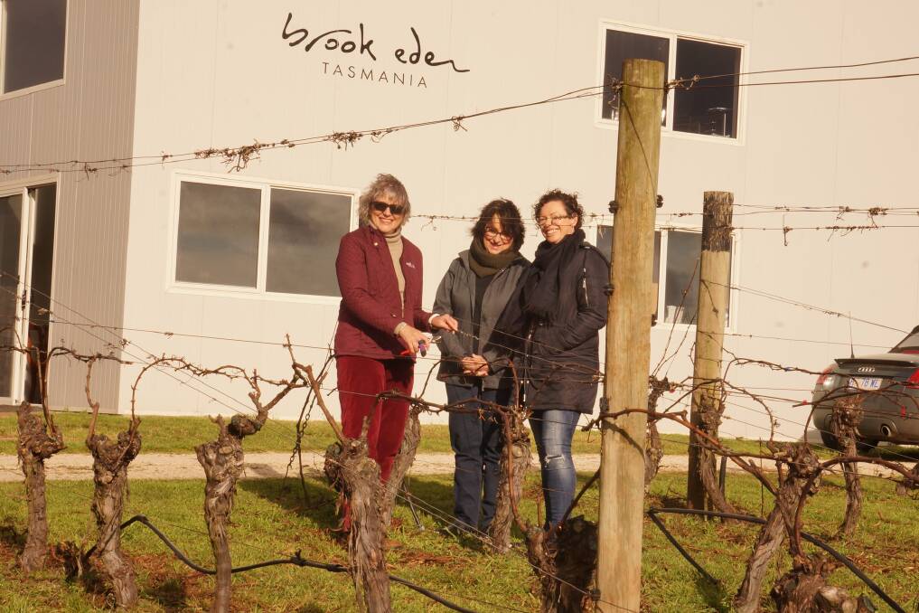 Wine wisdom: Brook Eden's Annette Ferraro, Jansz's Maxine Harris and Sinapius Winery's Linda Dell. Picture: Ed Ferraro