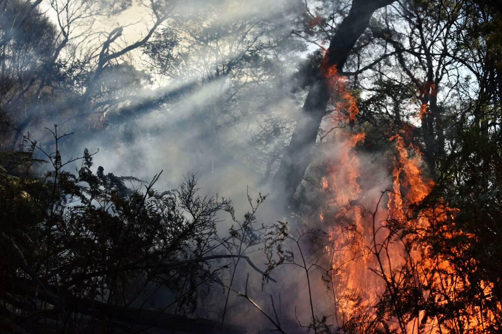 Blaze: Fuel reduction burns reduce the impact and risk of fast-spreading fires. Picture: Scott Gelston